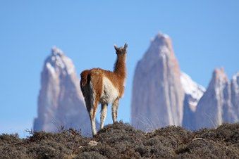 Awasi Patagonia Hotell Bekvämligheter bild